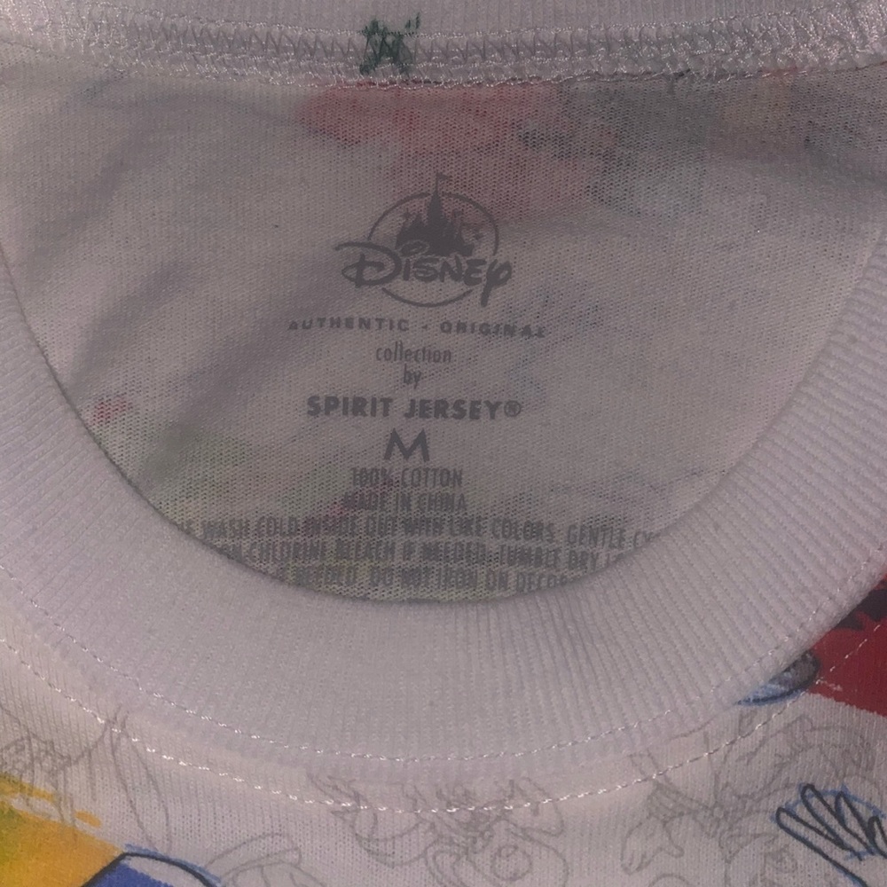 Disney park spirit jersey